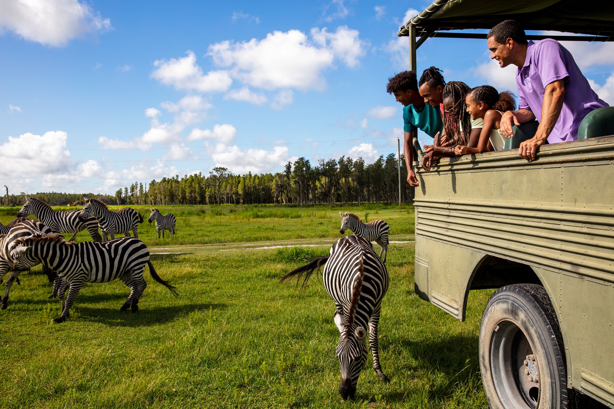 African Safari Experience