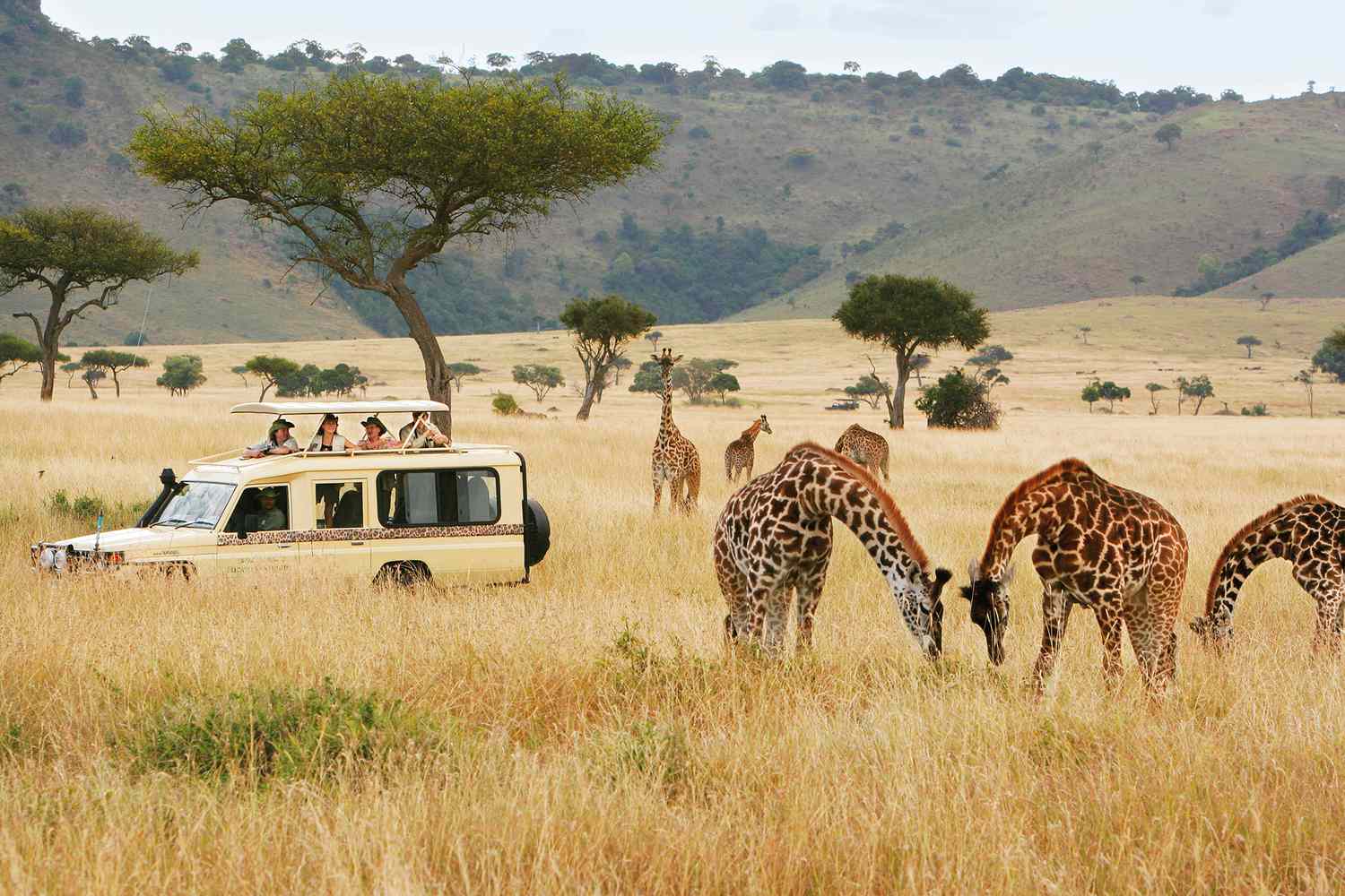 Nakuru safari